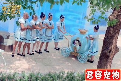 《營救汪星人》回眸一叫百萌生，萬千寵愛在汪星