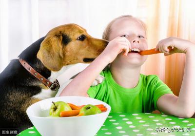 狗狗能不能吃“泡飯”？牙結石、口臭是怎么回事？