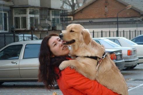 學好這6個訓犬方法，鏟屎官可降低苦惱！