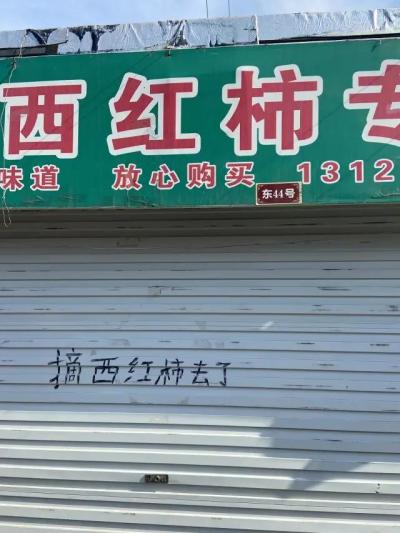 哈哈我笑到隔壁院子的哈士奇要和我拜把子