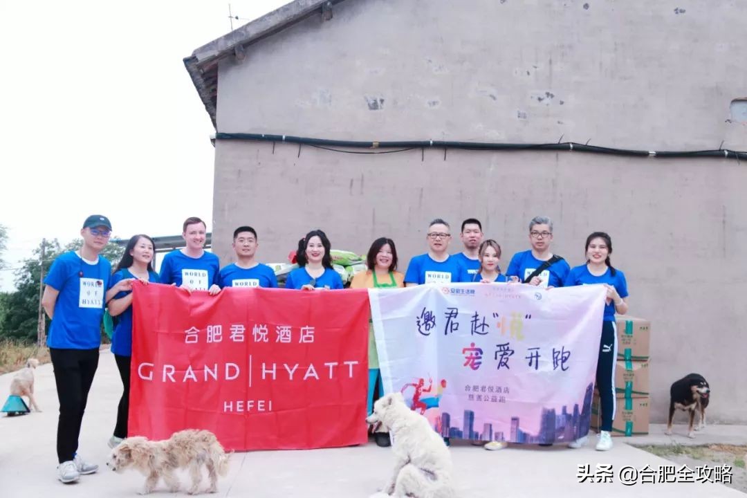 合肥有這樣一座山,是400多只流浪狗的天堂