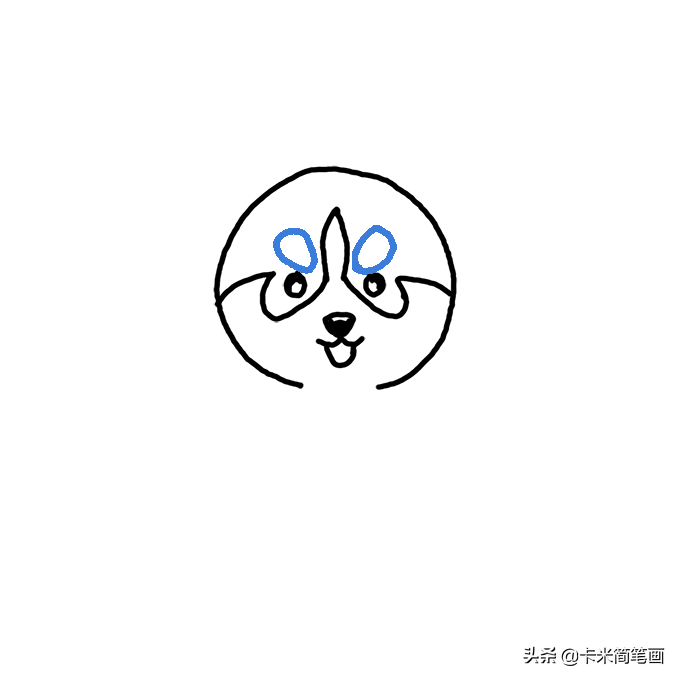 哈士奇的簡易畫法 - Q版哈士奇簡筆畫教程