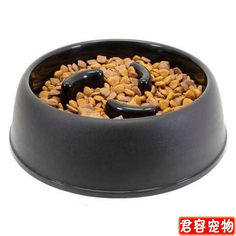 狗狗經常打嗝是食物問題,還可能是疾病征兆!如何幫狗狗應對打嗝