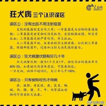 新手鏟屎官|養狗之前,建議先看看這個