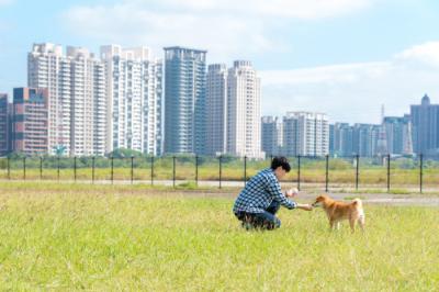 狗狗對陌生親戚吠叫甚至咬人,是正常的!但主人該怎么避免?