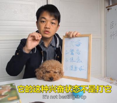 狗吠叫的原因至少有4種之多,搞對原因才能對癥下藥