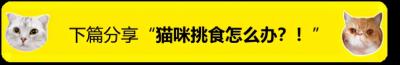 <a href=/zhonglei/gou/ target=_blank class=infotextkey>狗</a>狗腿瘸是怎么回事？可以自己恢復嗎？