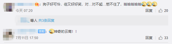 狗狗也中毒!?吃菌需謹慎,這份指南請速速查收→