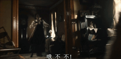 「多哥」:這只“二哈”救人的艱辛,洗刷了它“憨傻蠢萌”的恥辱
