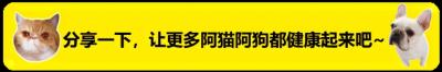 狗狗腿瘸是怎么回事？可以自己恢復嗎？