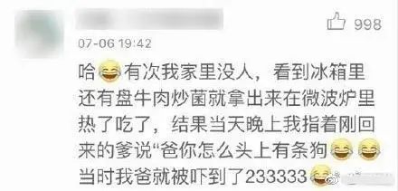 狗狗也中毒!?吃菌需謹慎,這份指南請速速查收→