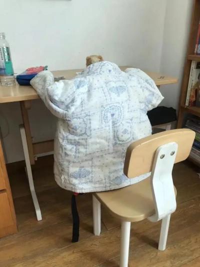 哈哈我笑到隔壁院子的哈士奇要和我拜把子