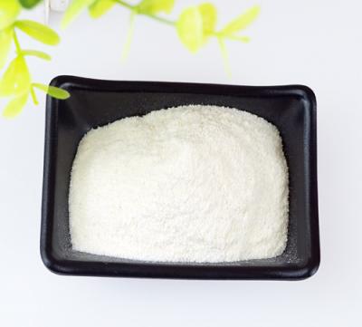 泰迪感冒了吃什么飯
