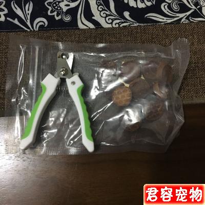 狗狗不樂意剪指甲？教你如何輕松給狗剪指甲（泰迪）