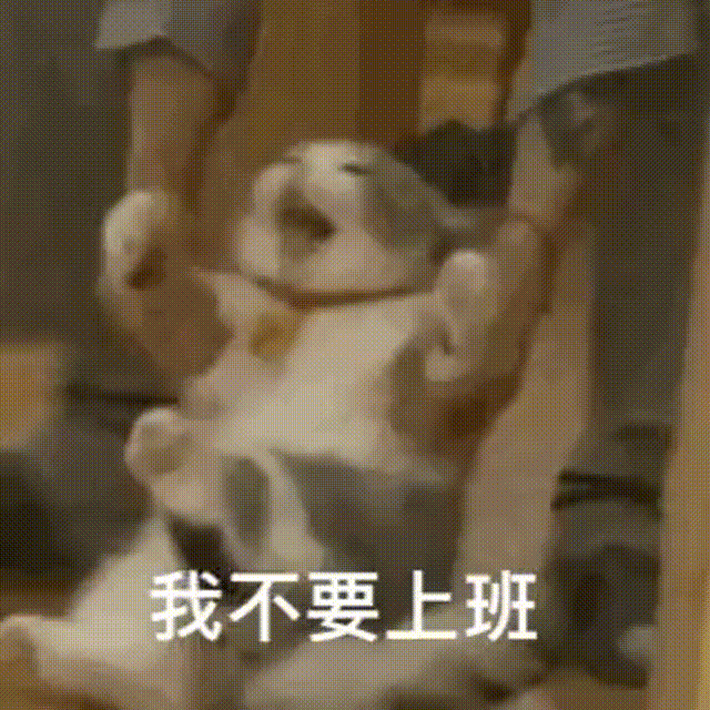 哈哈我笑到隔壁院子的哈士奇要和我拜把子