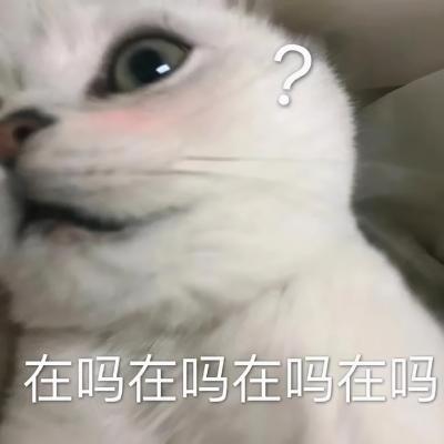 哈哈我笑到隔壁院子的哈士奇要和我拜把子