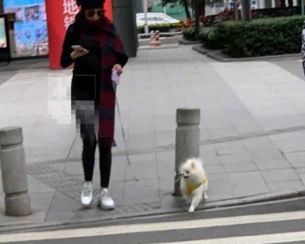 這樣遛狗“不可以”，對狗狗的身心健康有威協！