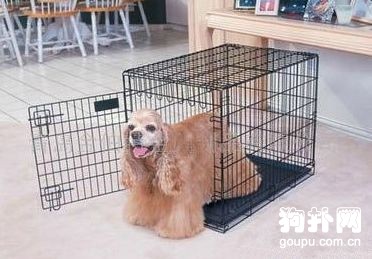 狗狗不愿意回狗籠怎么辦,狗狗籠內訓練法