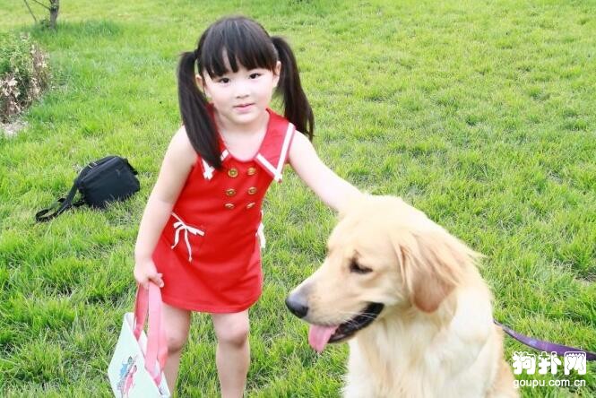 小狗亂咬人怎么辦，訓練狗狗不亂咬人的方法