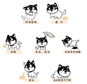 狗驅蟲的適當方式 ,小狗少受罪!