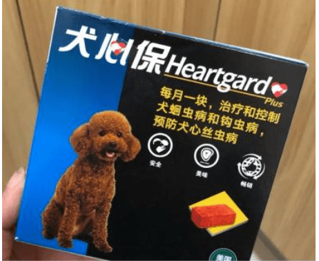 心絲蟲傷害大曝光!狗狗驅蟲要高度重視!