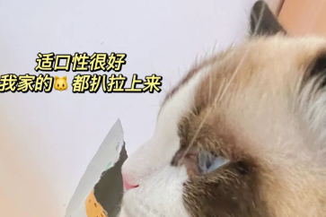 微信截圖_20220706104441.png