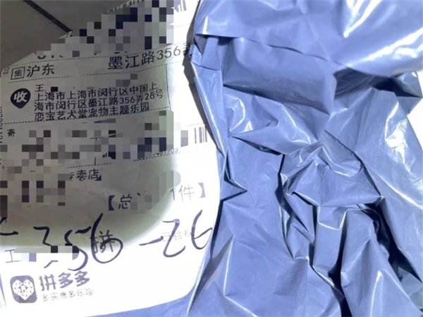 Nano遇難了，寵物學校的彌天大謊……