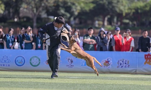 圖片9.jpg