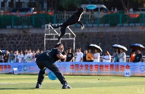 圖片8.jpg